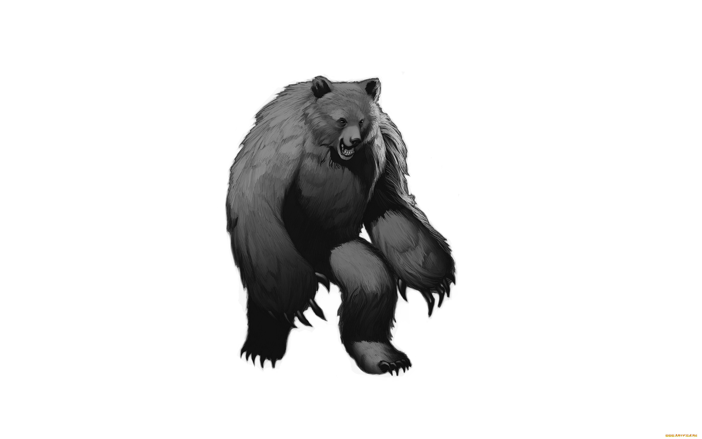 , , ,  , bear